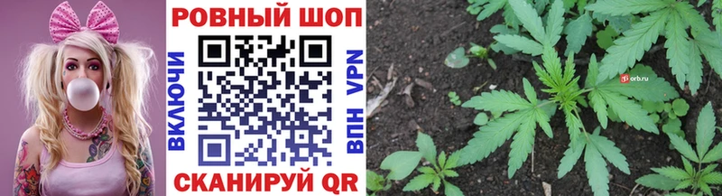 Где купить наркоту Фёдоровский Бошки Шишки Меф СОЛЬ Гашиш