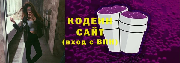 хмурый Нея