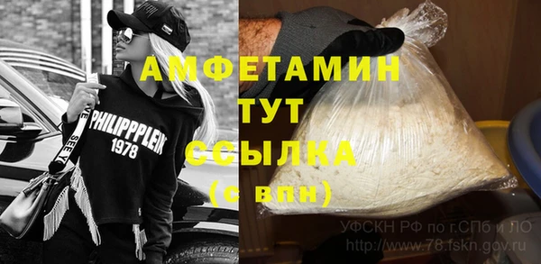 хмурый Нея