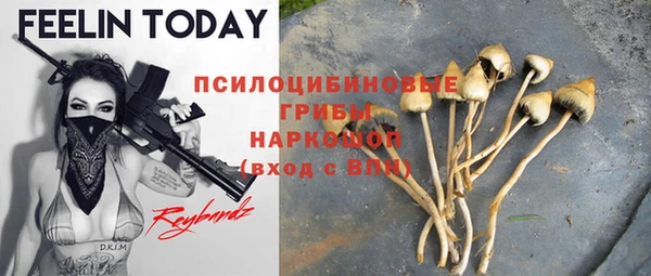 хмурый Нея