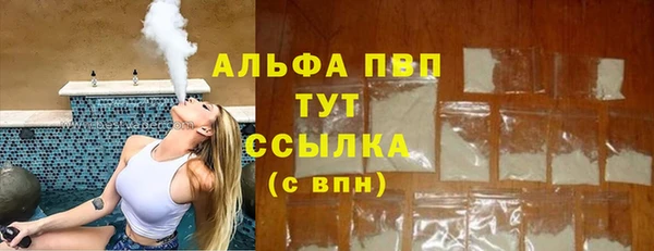 хмурый Нея