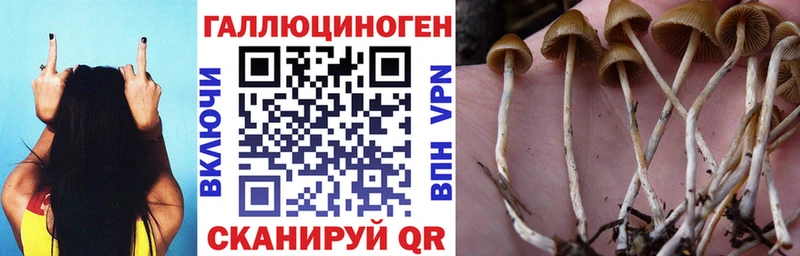 Галлюциногенные грибы ЛСД  Фёдоровский 